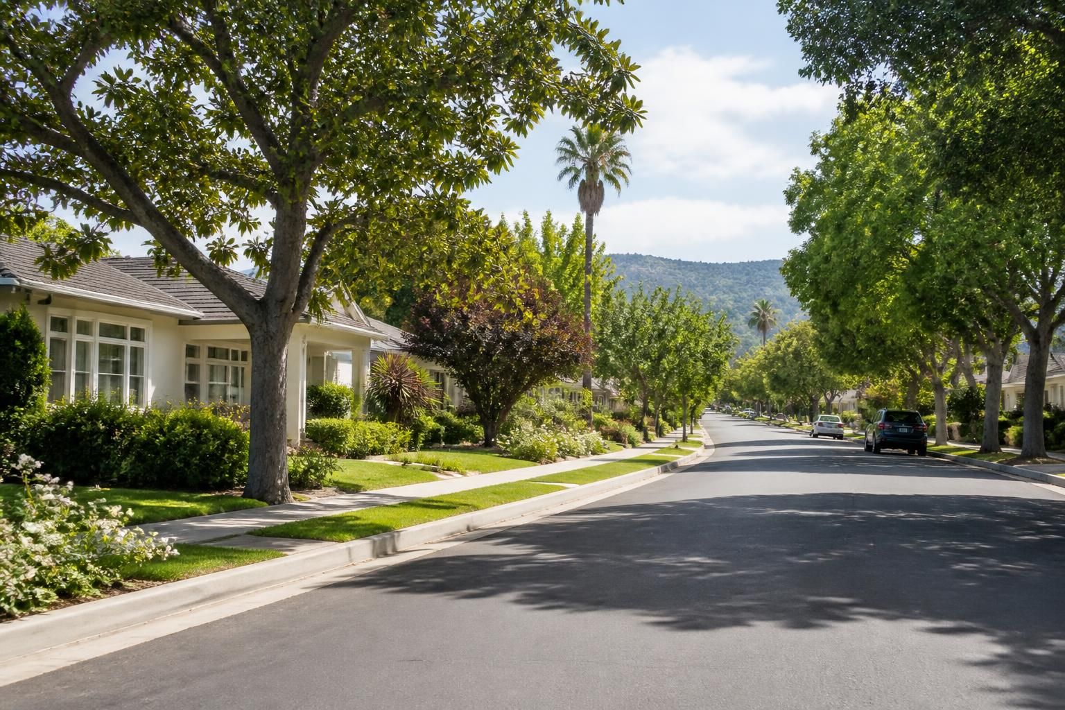 Calm suburban street with mature trees and tidy homes in Southern California
