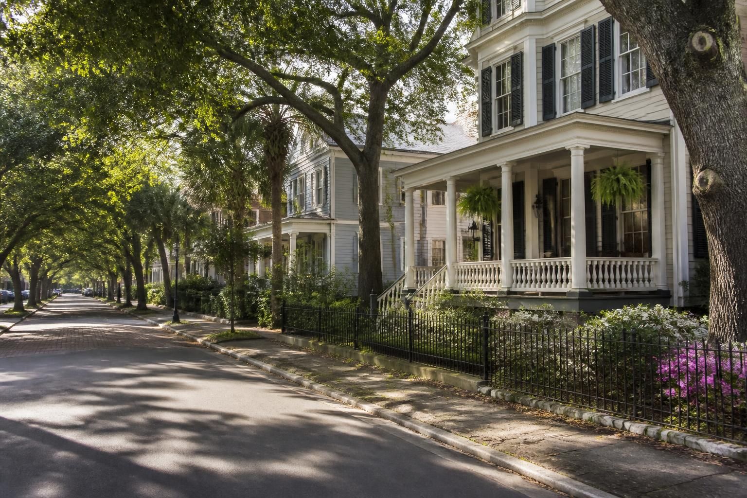 Charming historic district street with homes and mature trees